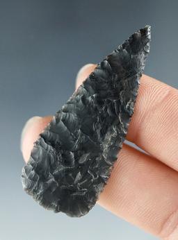 Exceptional flaking on this 2" Cottonwood made from Obsidian, found in Colorado.