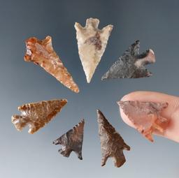 Set of seven Columbia River arrowheads, largest is 1 1/8".