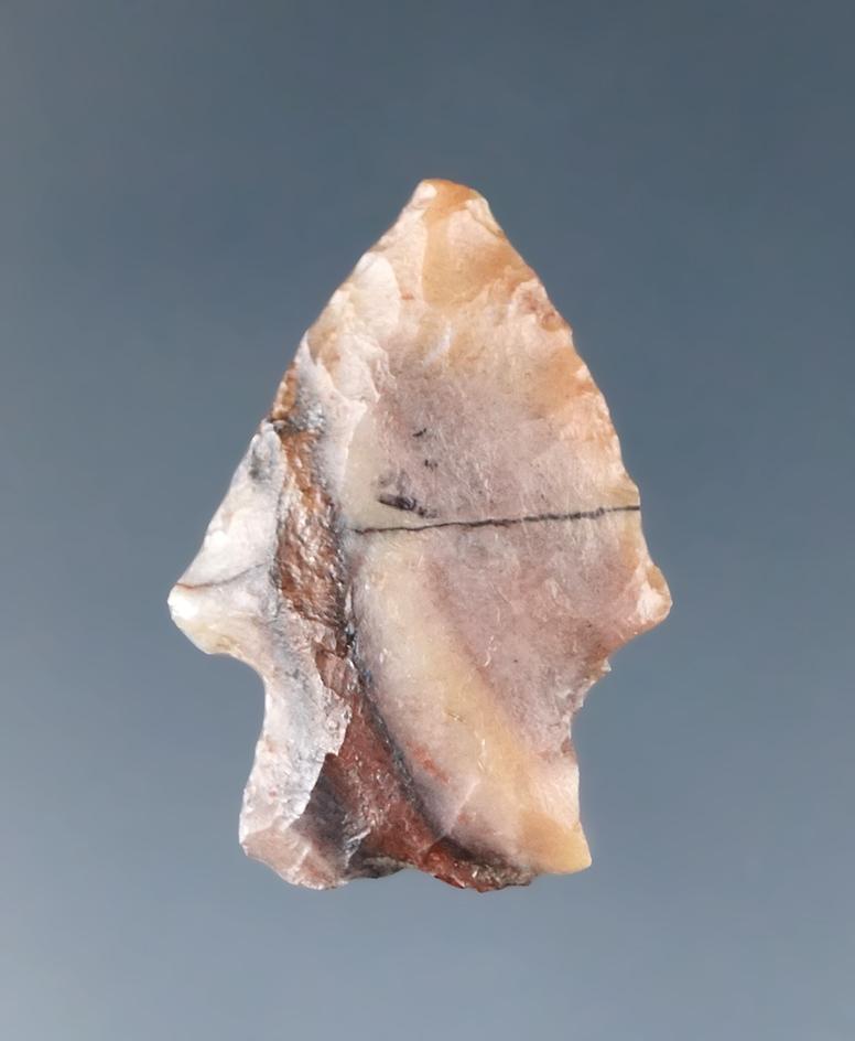 1" Samantha Arrow point made from attractive multicolored material found in the High Plains region.