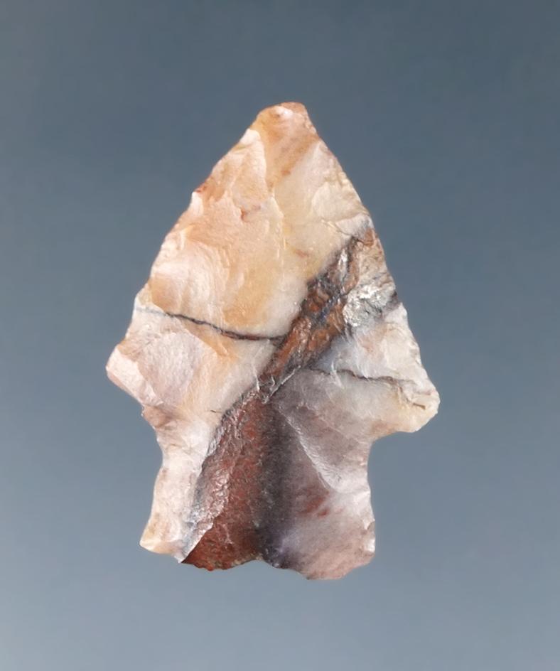 1" Samantha Arrow point made from attractive multicolored material found in the High Plains region.