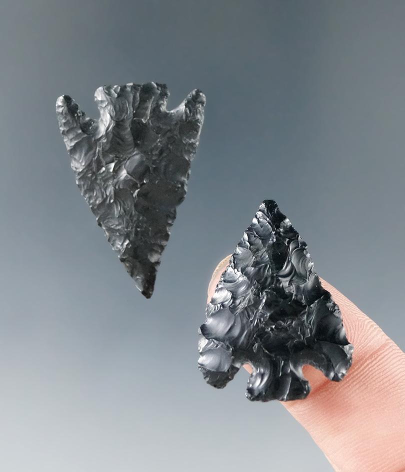 Ex. Museum! Pair of obsidian Columbia Plateau points found near the Columbia River.