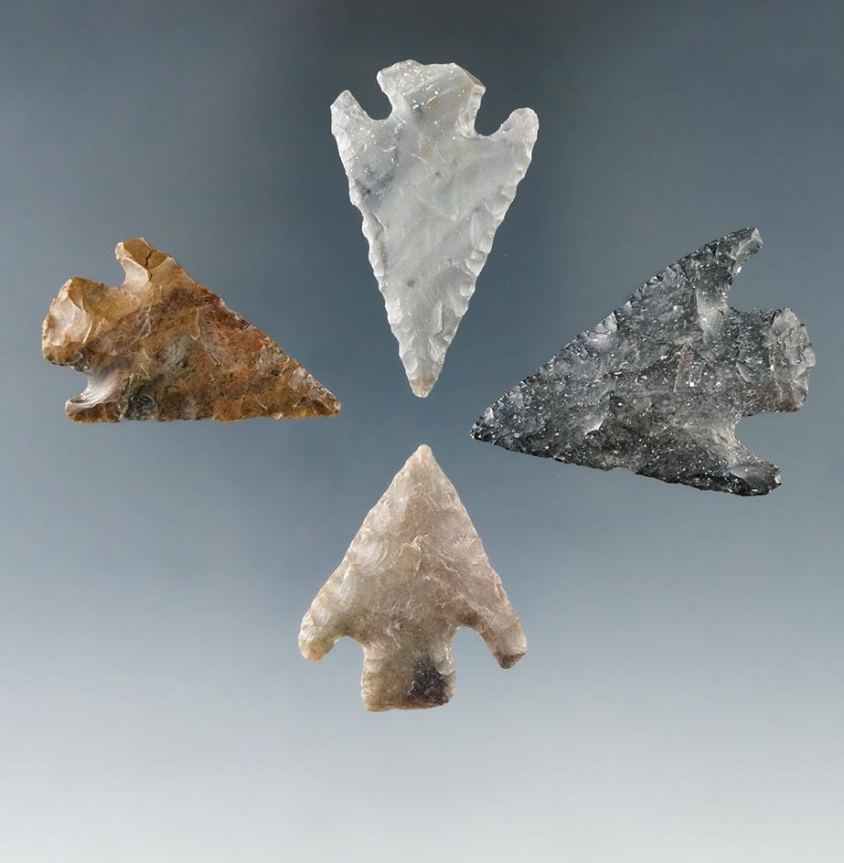 Ex. Museum! Set of four nice points found in Texas, largest is 1 1/2".