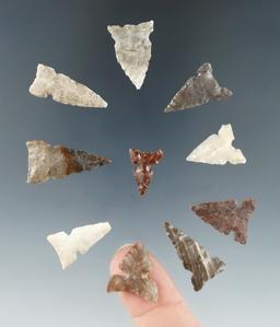 Set of 10 Columbia River arrowheads, largest is 1".