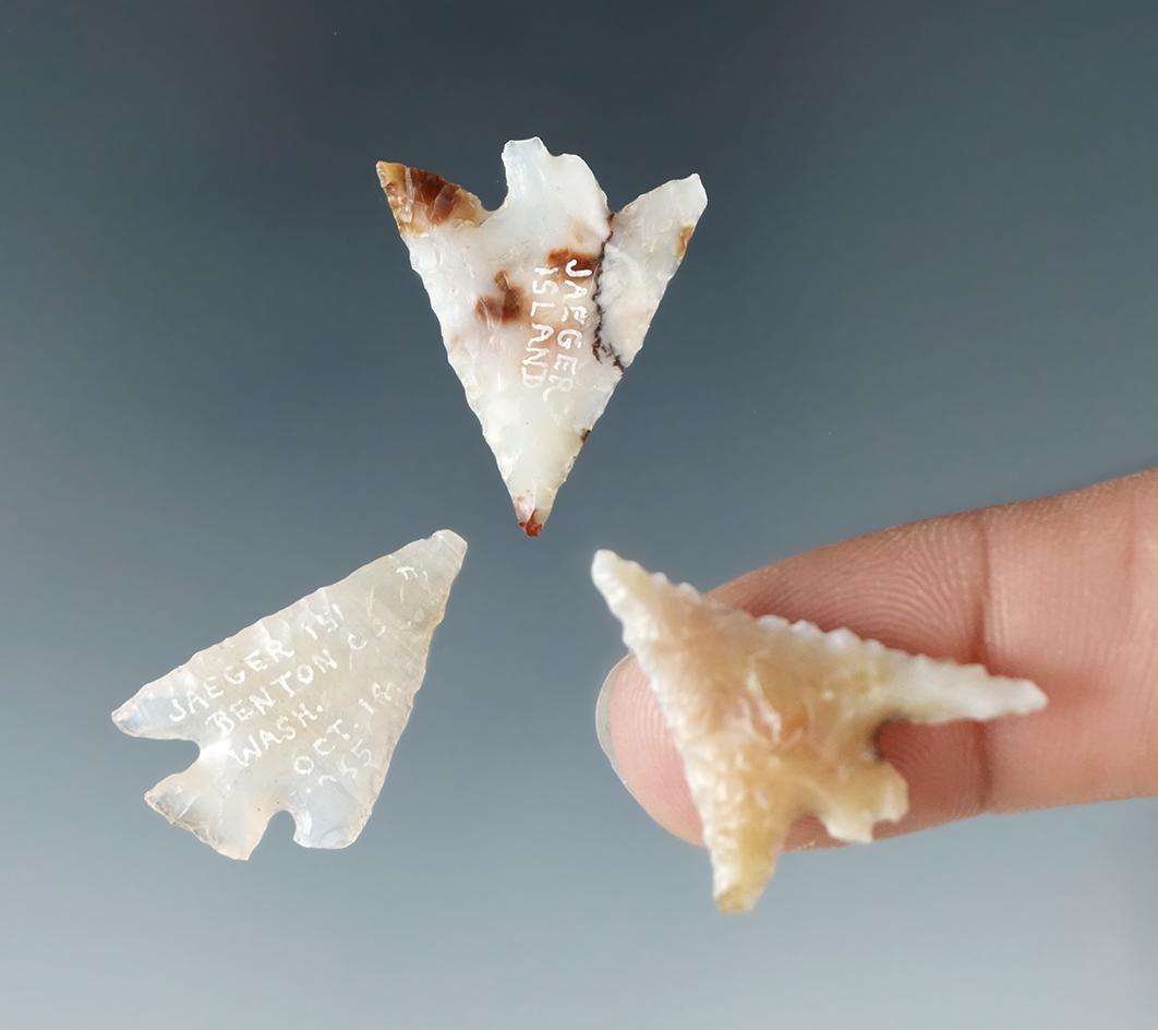 Set of 3 Assorted Gempoints found near Jaeger Island, Benton Co., Washington, largest is 15/16".