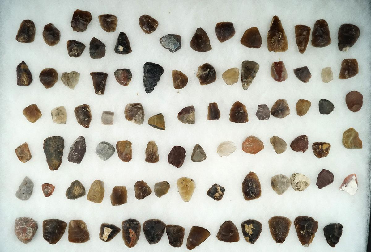 Large group of mostly knife River Flint scrapers found in the Dakotas. Largest is 1 1/2".