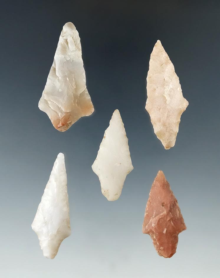 5 nice arrowheads. Part of a group found by Glenn McDonald along the Red and little Missouri rvr