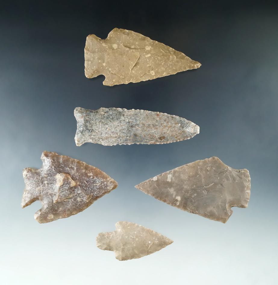 Nice set of five large arrowheads found in Texas, largest is 3".
