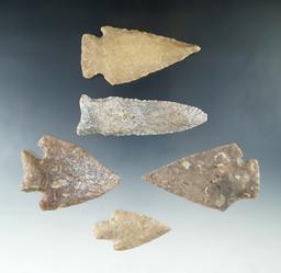 Nice set of five large arrowheads found in Texas, largest is 3".