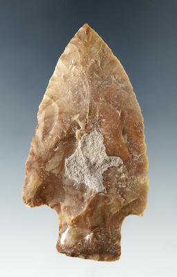 3 1/8" Levy Knife  found at the Magnolia site in Levy Co., Florida.