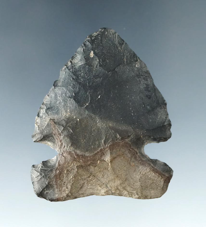 2" Archaic Sidenotch made from Nellie Chert with a wide base, found in Coshocton Co., Ohio.