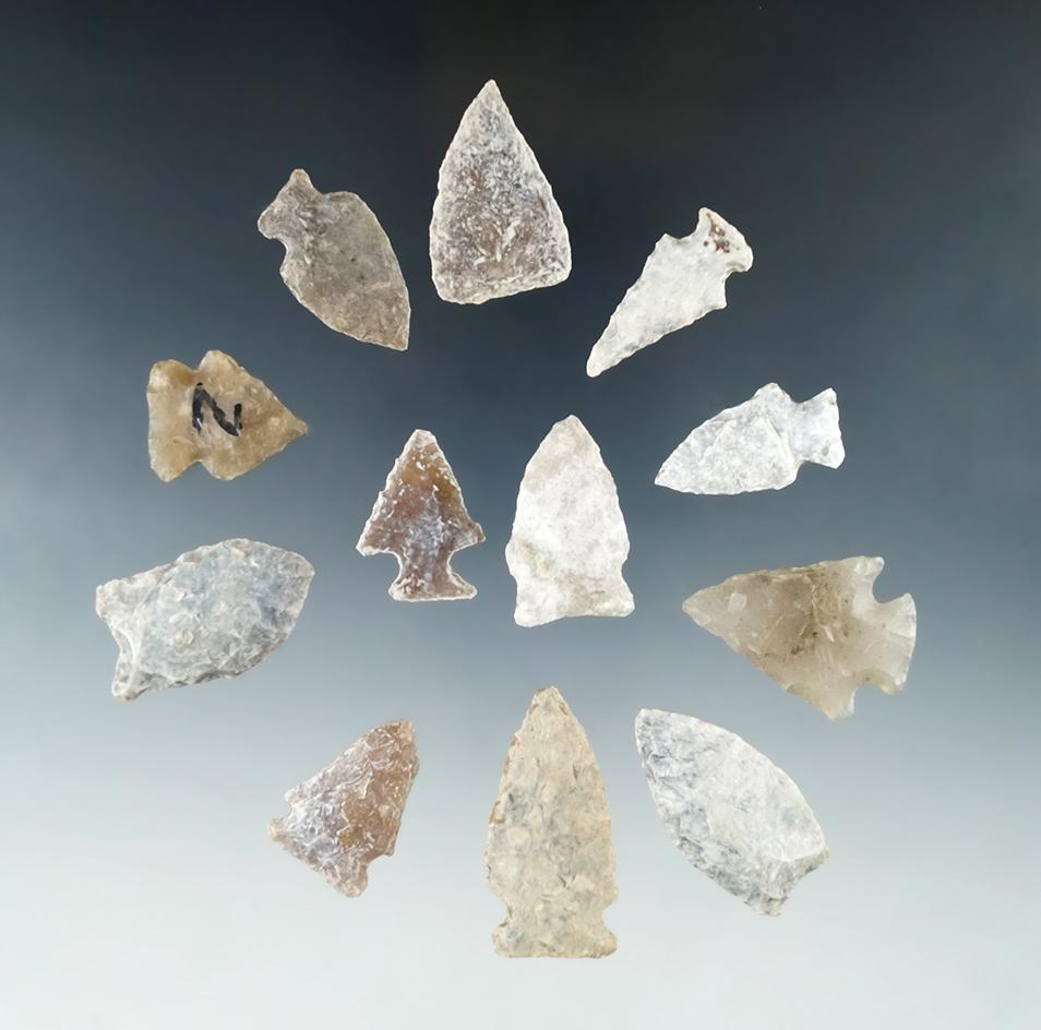 Set of 12 assorted arrowheads found in the High Plains region, largest is 1 9/16".