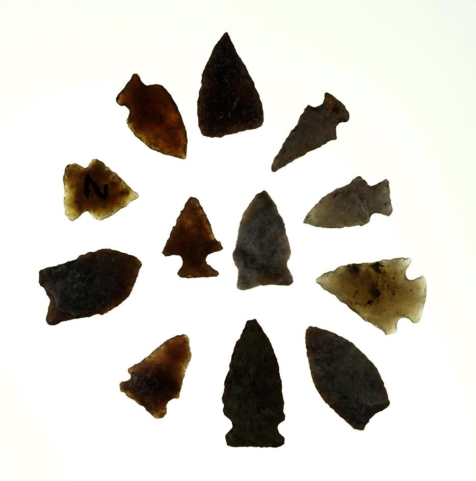 Set of 12 assorted arrowheads found in the High Plains region, largest is 1 9/16".