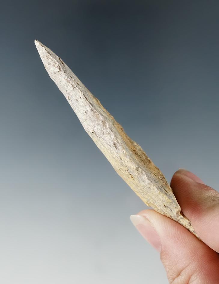 3 1/4" Levy Knife found at the Magnolia site in Levy Co., Florida.