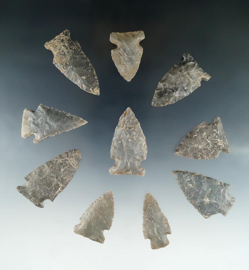 Set of 10 assorted Tennessee arrowheads, largest is 1 7/8".
