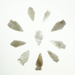 Group of 10 quartz arrowheads found in Virginia, largest is 1 3/4".