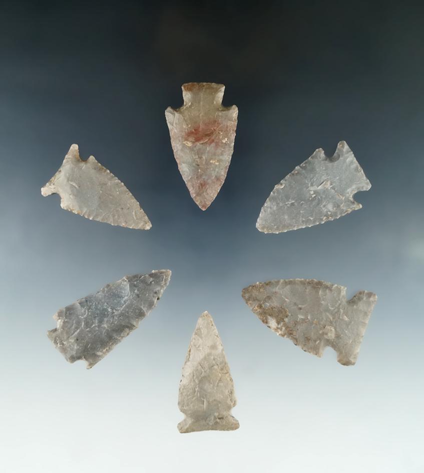 Set of six assorted Tennessee arrowheads, largest is 1 3/4".