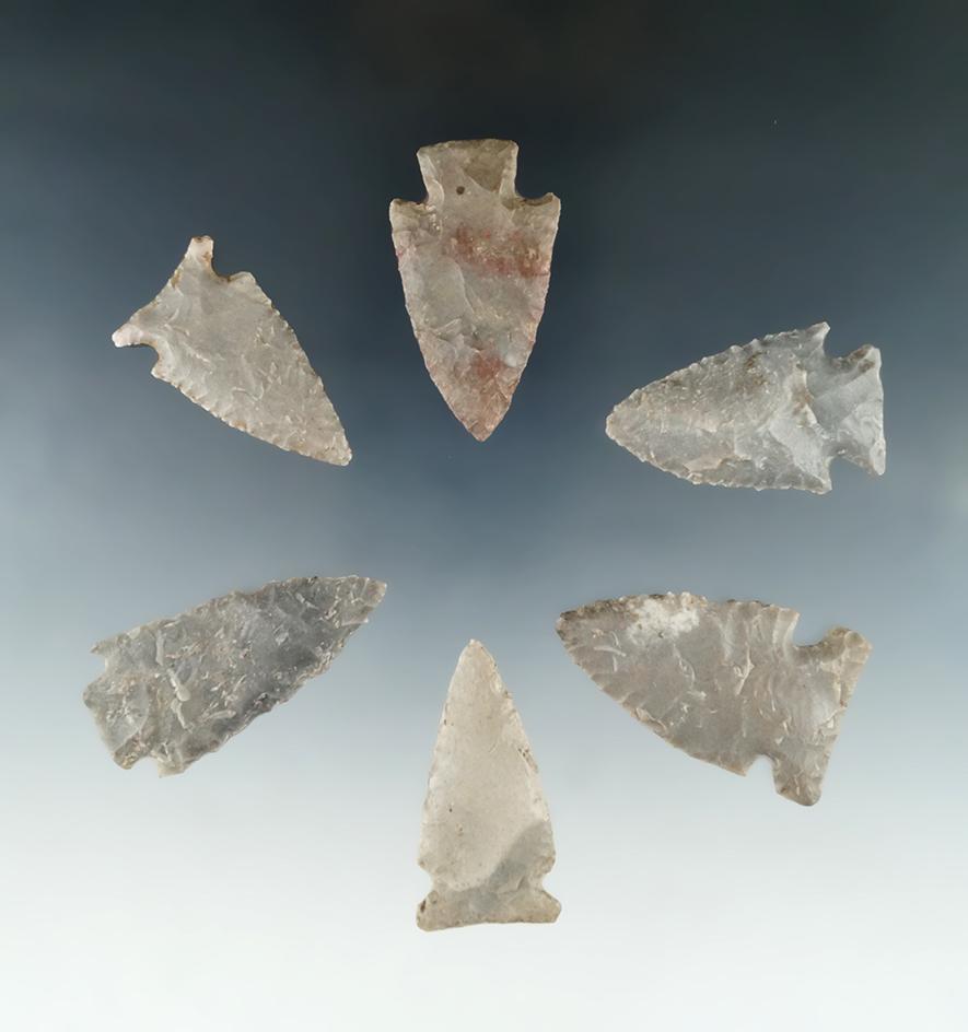 Set of six assorted Tennessee arrowheads, largest is 1 3/4".