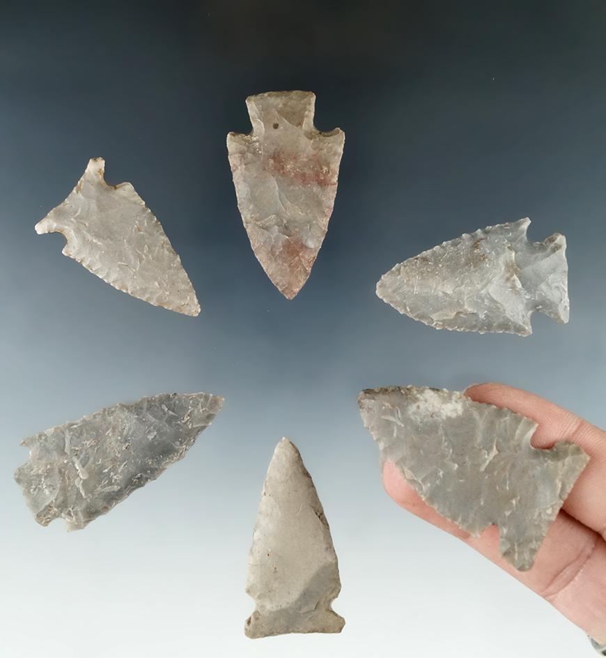 Set of six assorted Tennessee arrowheads, largest is 1 3/4".