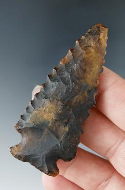 Heavy River patina on this 2 5/8" Archaic Bevel found in Virginia.