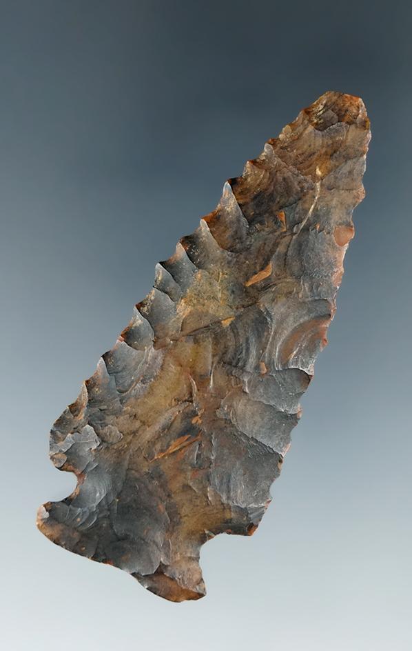 Heavy River patina on this 2 5/8" Archaic Bevel found in Virginia.