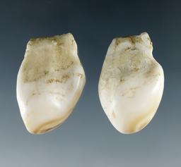 Pair of elk eye teeth (or wapiti whistlers) from the Dewey Schmid collection. Both around 1 1/8"