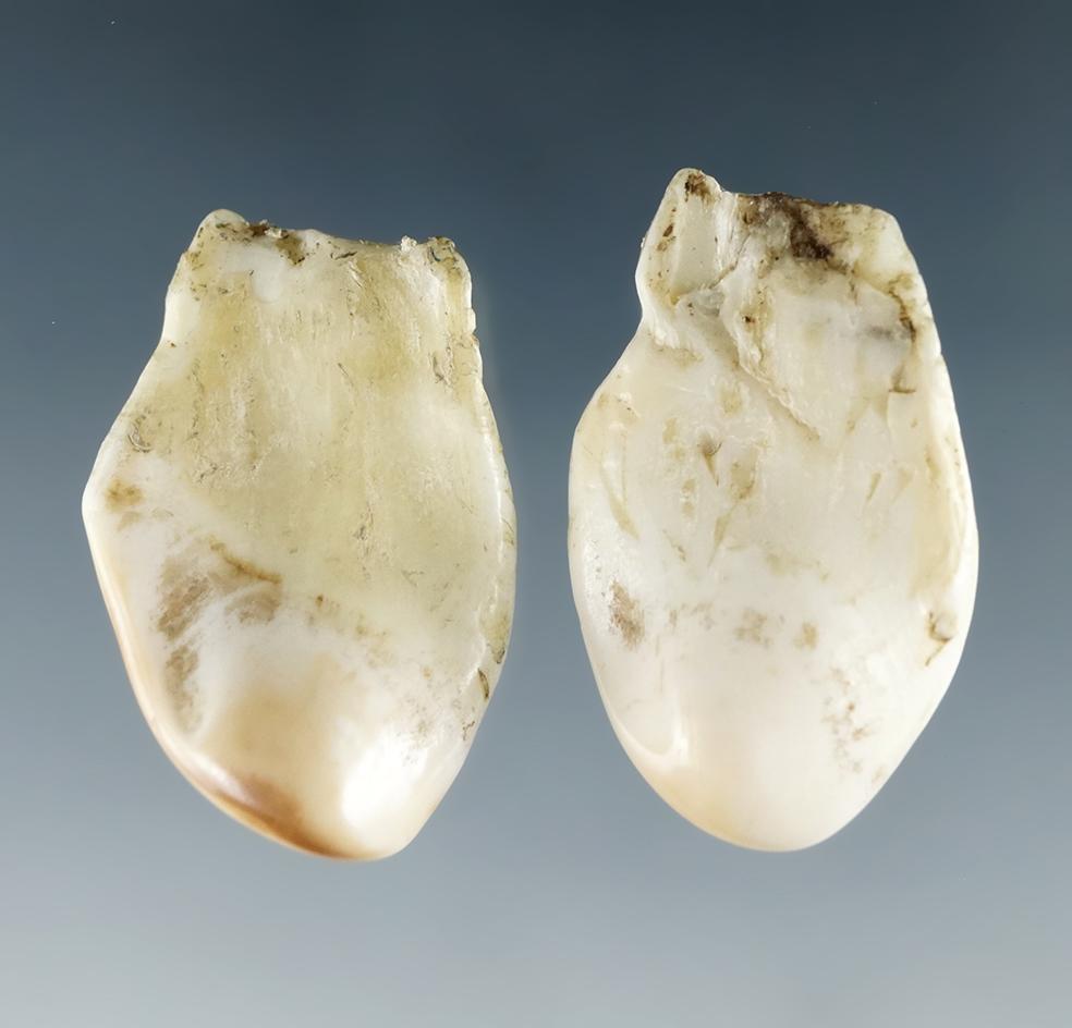 Pair of elk eye teeth (or wapiti whistlers) from the Dewey Schmid collection. Both around 1 1/8"