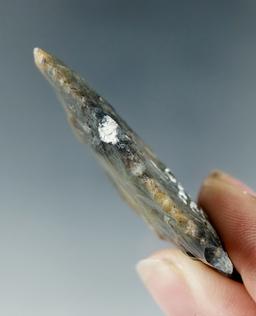 2 1/8" Levy point made from attractive material found in Union Co., Florida.