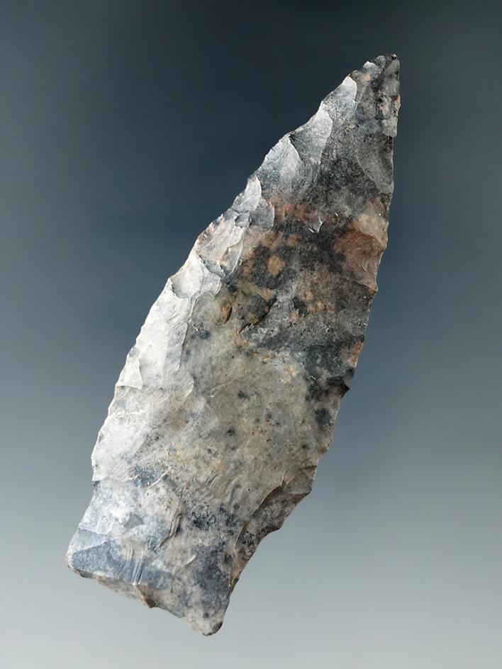 2 7/8" Coshocton Flint Paleo Stemmed Lanceolate found in Ashland Co., Ohio.