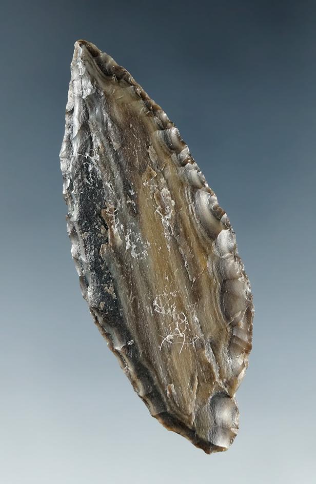 2 1/16" Cascade Leaf Blade made from Petrified Wood, found near the Columbia River.