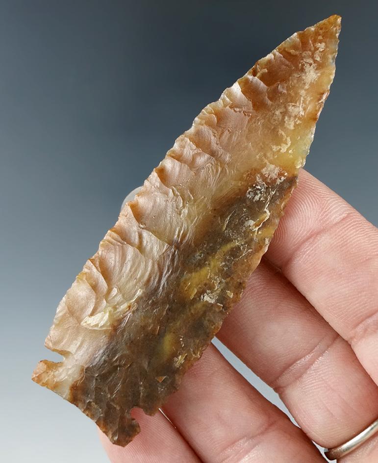 Outstanding 3 1/4" Sidenotch- multi-colored brown Agate. Crump Lake, Lake Co., Oregon.