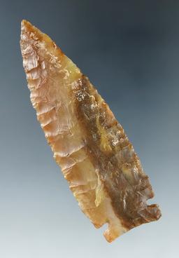 Outstanding 3 1/4" Sidenotch- multi-colored brown Agate. Crump Lake, Lake Co., Oregon.