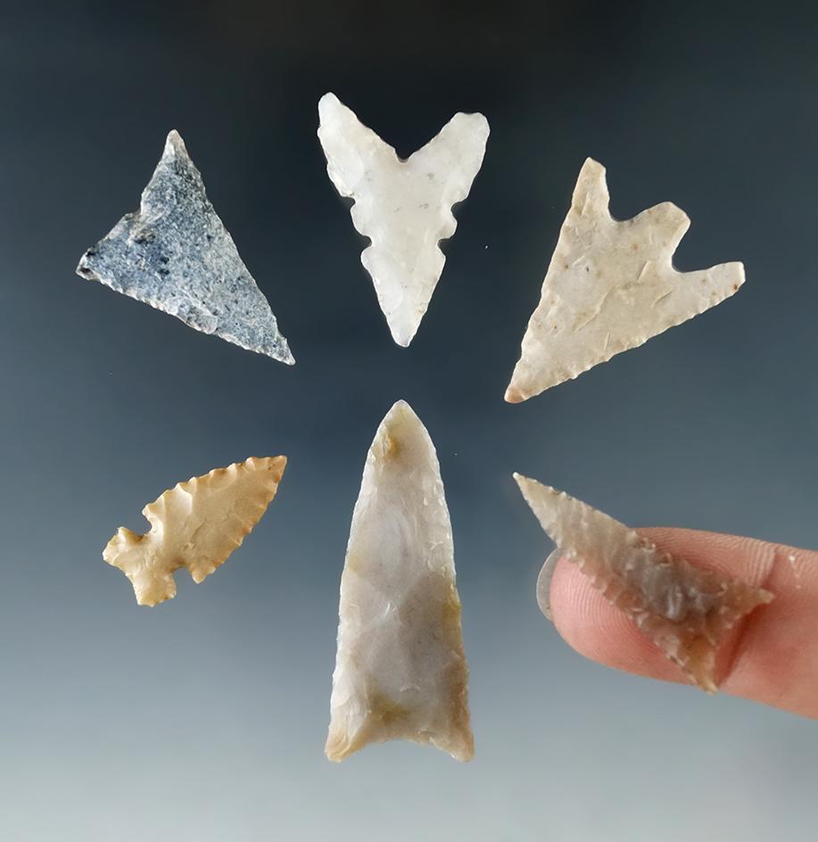 Set of six assorted arrowheads found in Texas, largest is 1 9/16".
