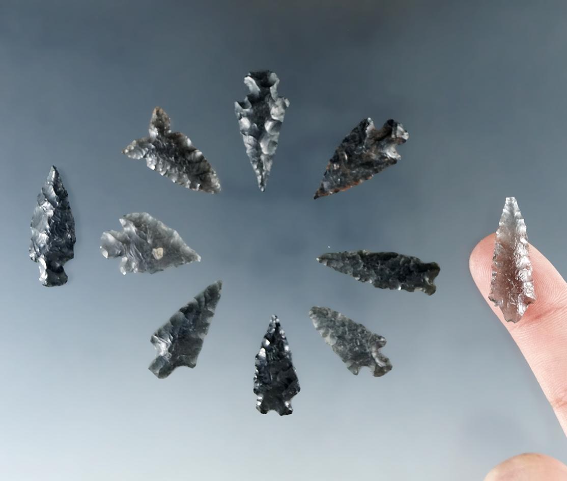 Set of 10 assorted arrowheads found in Humboldt Co., Nevada. Largest is 1".