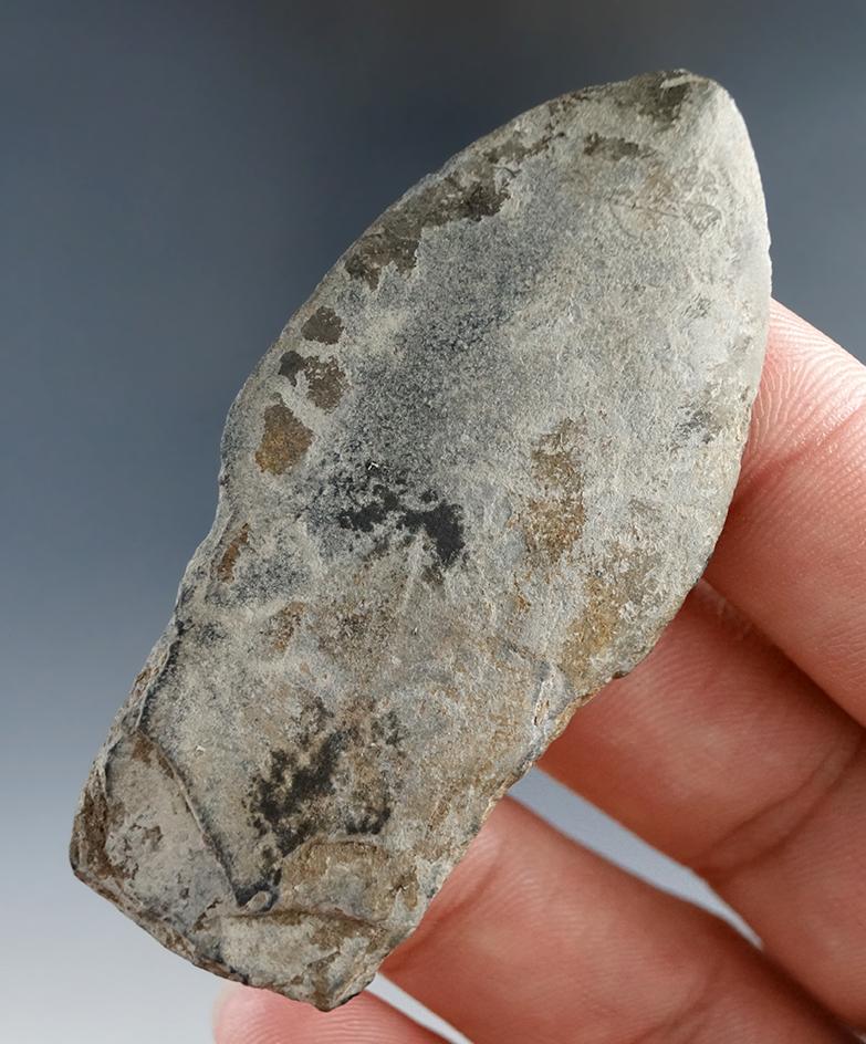 2 9/16" Spear Point made from ground & polished slate, found in Alaska. Bennett COA.