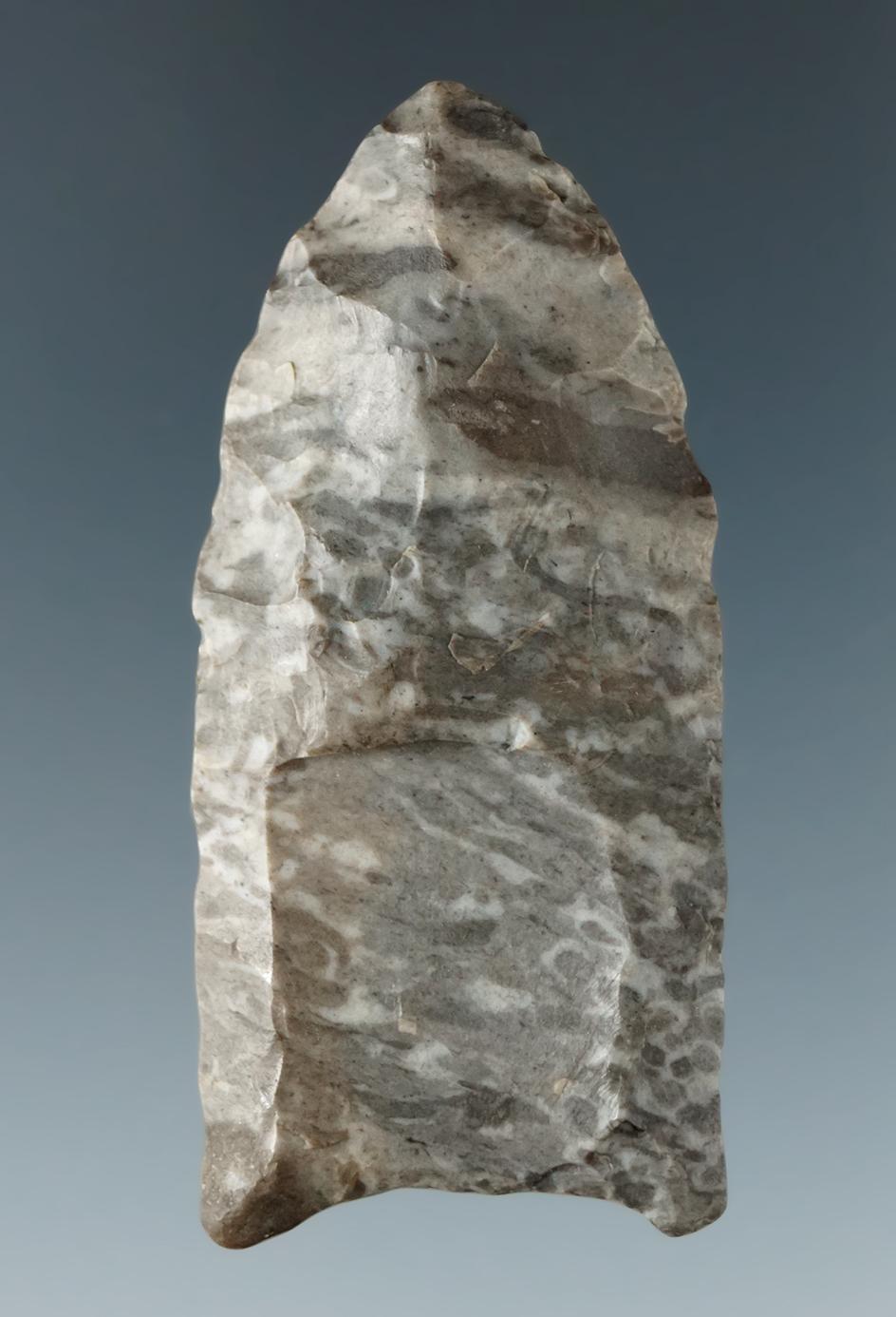 "2 3/16"" Paleo Fluted Clovis made from Onondaga Flint found near Springville, Erie Co., New York.