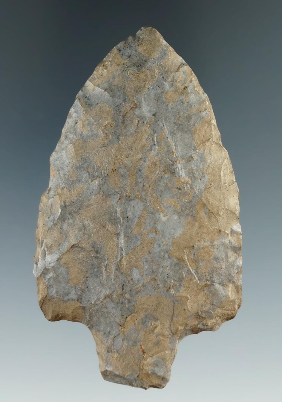 3 1/16" Onondaga Flint Lehigh found on the Hansen farm near Seneca Lake, New York.   Ex. Lang.