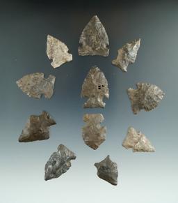 Set of 11 assorted New York arrowheads, largest is 1 3/8".