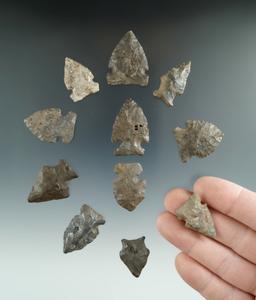 Set of 11 assorted New York arrowheads, largest is 1 3/8".