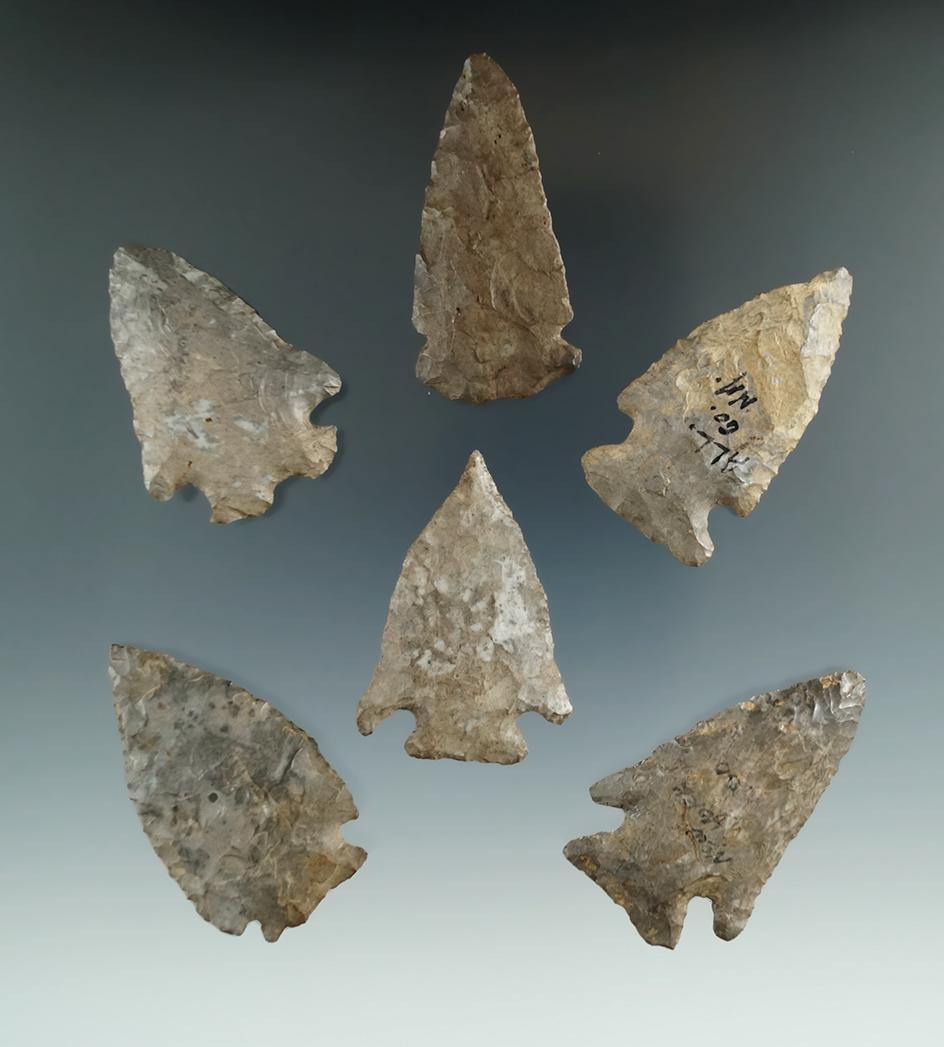 Set of six assorted Onondaga Flint arrowheads found in New York, largest is 2 1/16".