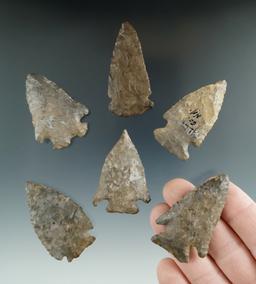 Set of six assorted Onondaga Flint arrowheads found in New York, largest is 2 1/16".