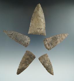 Set of five triangular arrowheads/knives found in Allegheny Co., New York, largest is 3".   Ex. Lang