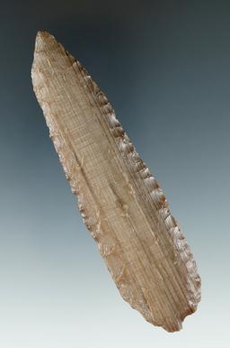 4 1/4" Cascade Knife made from Petrified Wood, found near the Columbia River.