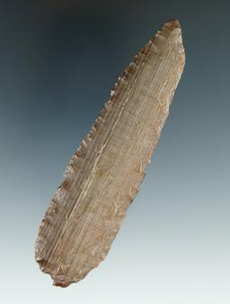 4 1/4" Cascade Knife made from Petrified Wood, found near the Columbia River.