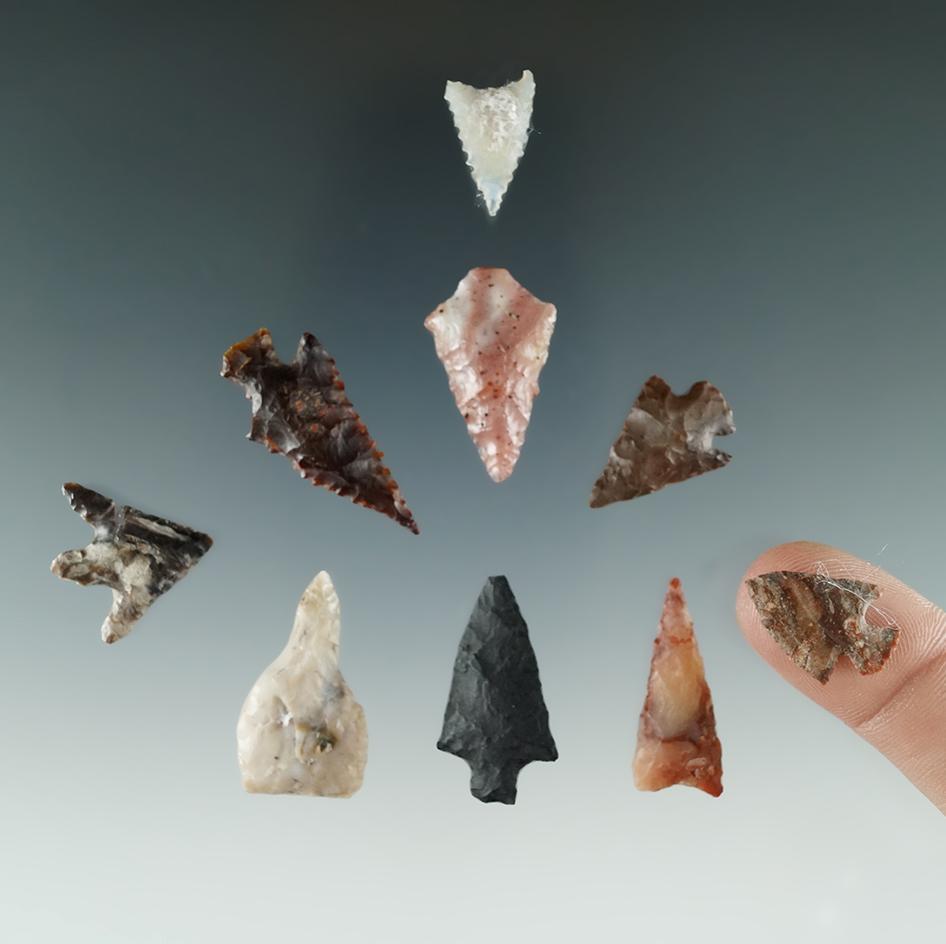 Group of 9 Columbia River Gempoints found in Franklin Co., Washington. Largest is 1 1/4".