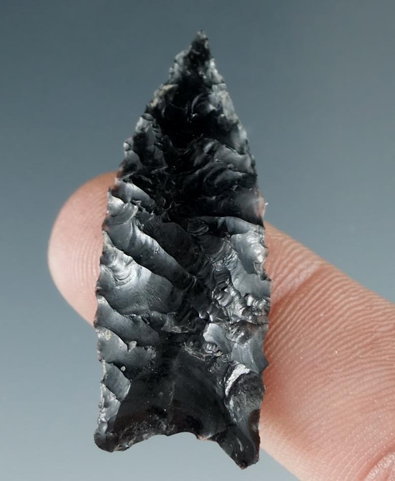 1 1/2" Humbolt made from Obsidian found in the Great Basin, Oregon.