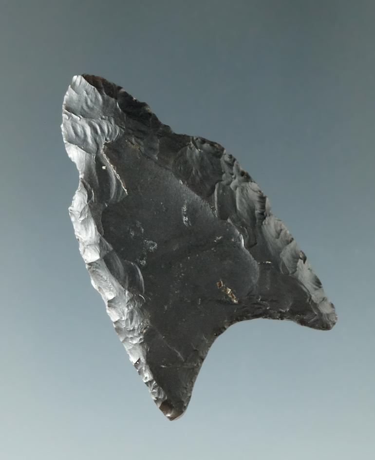 1 11/16" Paleo Fluted Clovis made from Coshocton Flint found in Delaware Co., Ohio.