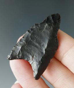 1 11/16" Paleo Fluted Clovis made from Coshocton Flint found in Delaware Co., Ohio.