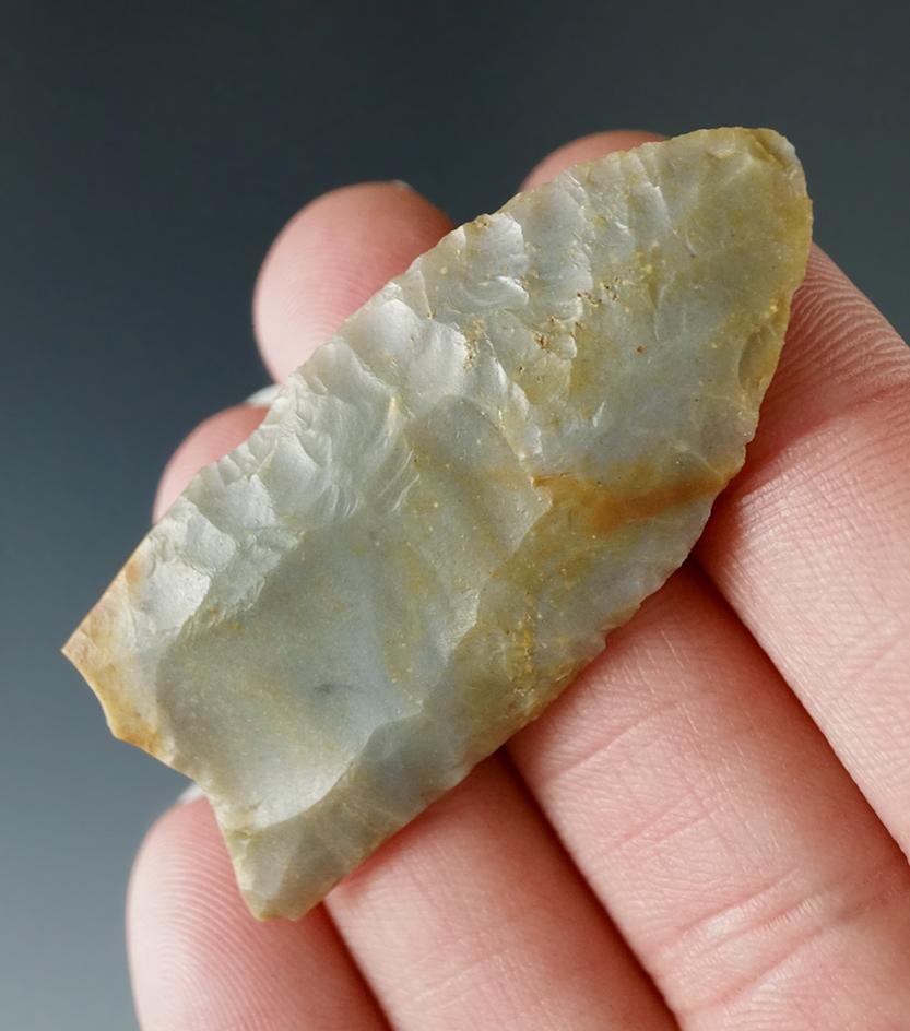 2 3/16" Paleo Fluted Clovis made from beautiful material found in Ottawa, Putnam Co., Ohio.