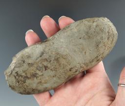 4 7/8" Green Banded Slate Wing Bannerstone found in Richland Co., Ohio. Ex. Gary Mumaw.