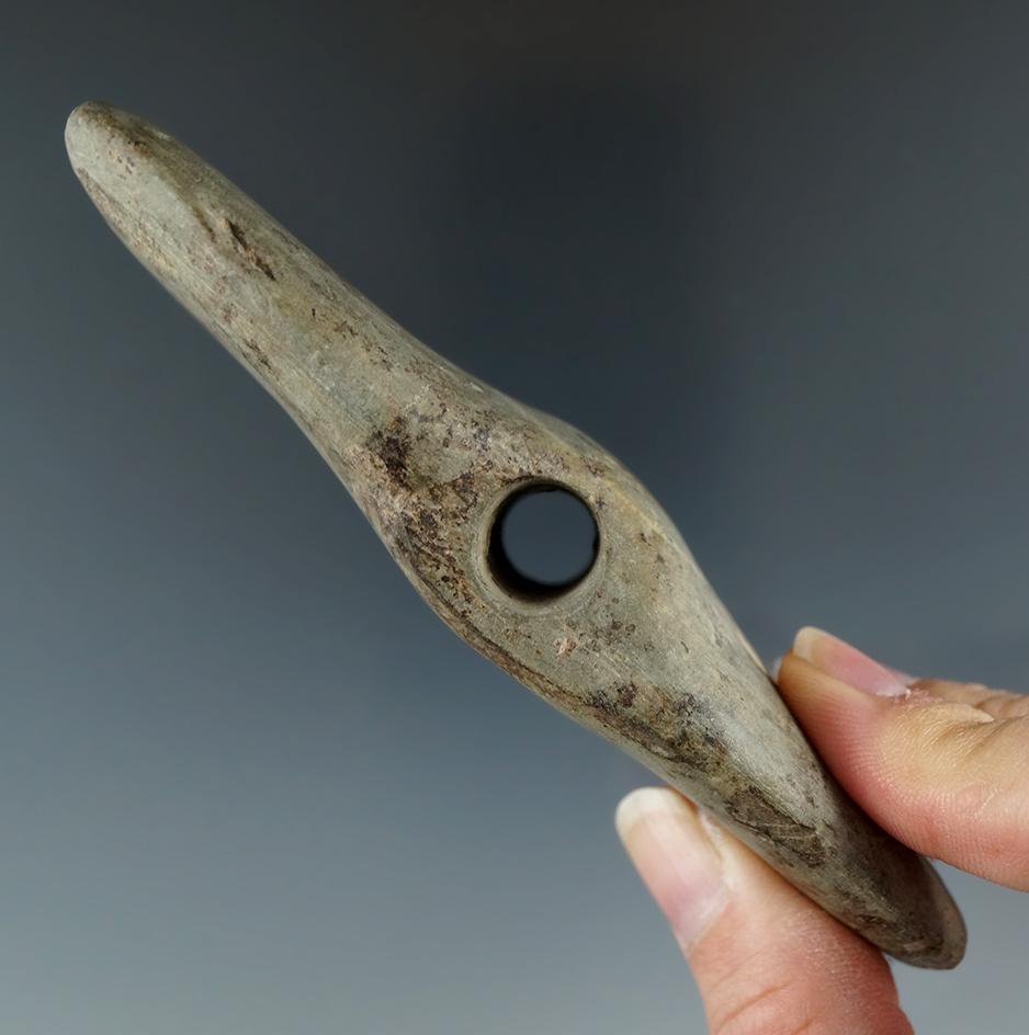 4 7/8" Green Banded Slate Wing Bannerstone found in Richland Co., Ohio. Ex. Gary Mumaw.